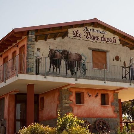Agriturismo Le Vigne Ducali Màndas Exterior photo